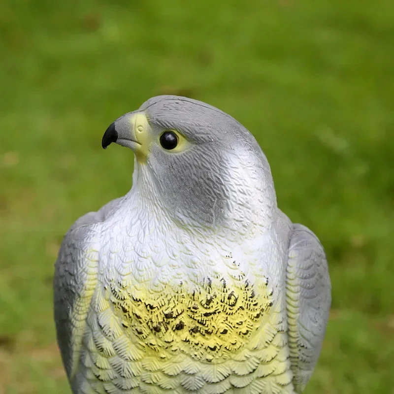 Falkenattrappe zur Vogelabwehr – realistische Raubvogelfigur – Bild 5
